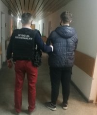 na korytarzu w budynku komendy nieumundurowany policjant, który ma założoną czarna kamizelkę taktyczna znapisem POLICJA prowadzi zatrzymanego mężczyznę który z przodu ma założone zespolone kajdanki na ręce i nogi, obydwaj są odwróceni tyłem