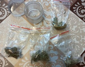 pudełko plastikowe obok dilerki z suszem roślinnym