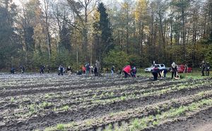 Umundurowani policjanci biorą udział w akcji sadzenia lasu.