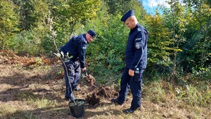 Akcja sadzenia lasu i alei dębów w leśnictwie Pyszków z udziałem służb mundurowych, samorządowców, uczniów.