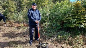 Akcja sadzenia lasu i alei dębów w leśnictwie Pyszków z udziałem służb mundurowych, samorządowców, uczniów.