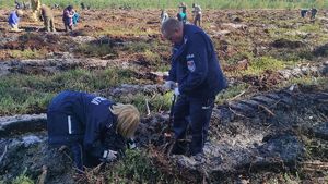 Akcja sadzenia lasu i alei dębów w leśnictwie Pyszków z udziałem służb mundurowych, samorządowców, uczniów.