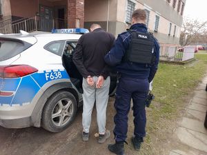 Umundurowany policjant prowadzi zatrzymanego mężczyznę, który ma założone kajdanki na ręce trzymane z tyłu, wsiada on do radiowozu.