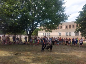 Piknik przed budynkiem komendy, rozstawione są namioty wystawców, pojazdy służb mundurowych, osoby odwiedzają stoiska.