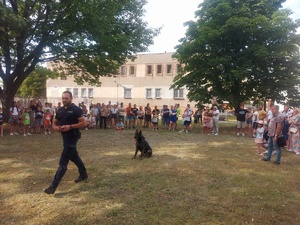 Piknik przed budynkiem komendy, rozstawione są namioty wystawców, pojazdy służb mundurowych, osoby odwiedzają stoiska.
