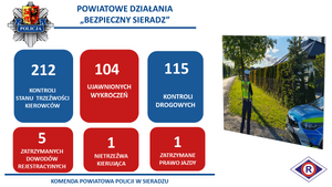 Slajd przedstawiający wyniki działań.
