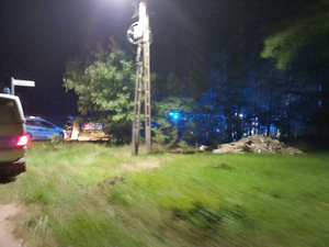 Pojazdy służby ratunkowych podczas akcji poszukiwawczej zaginionej w lesie seniorki.